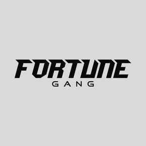 FORTUNE GANG V1 VINYL