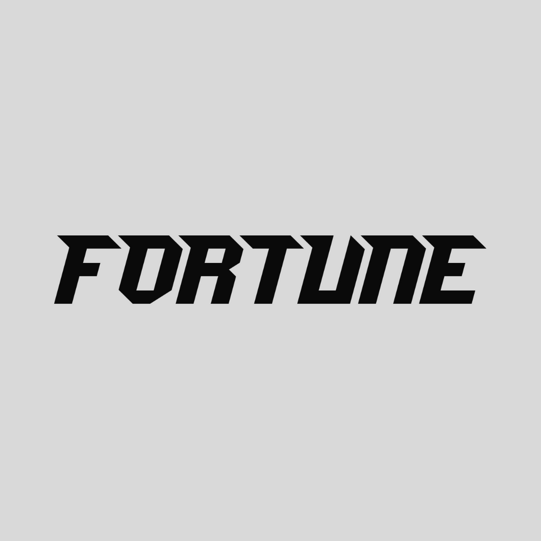 FORTUNE V1 VINYL