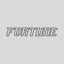 Load image into Gallery viewer, FORTUNE V2 VINYL
