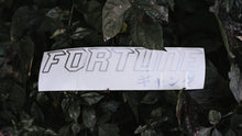 Load image into Gallery viewer, FORTUNE GANG V2 KATAKANA OFFSET STICKER
