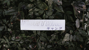 FORTUNE GANG V2 KATAKANA OFFSET STICKER